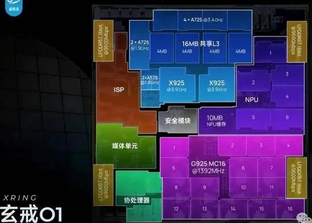 砍杀游戏《强悍比基尼》8月19日发售 少女激战兽人